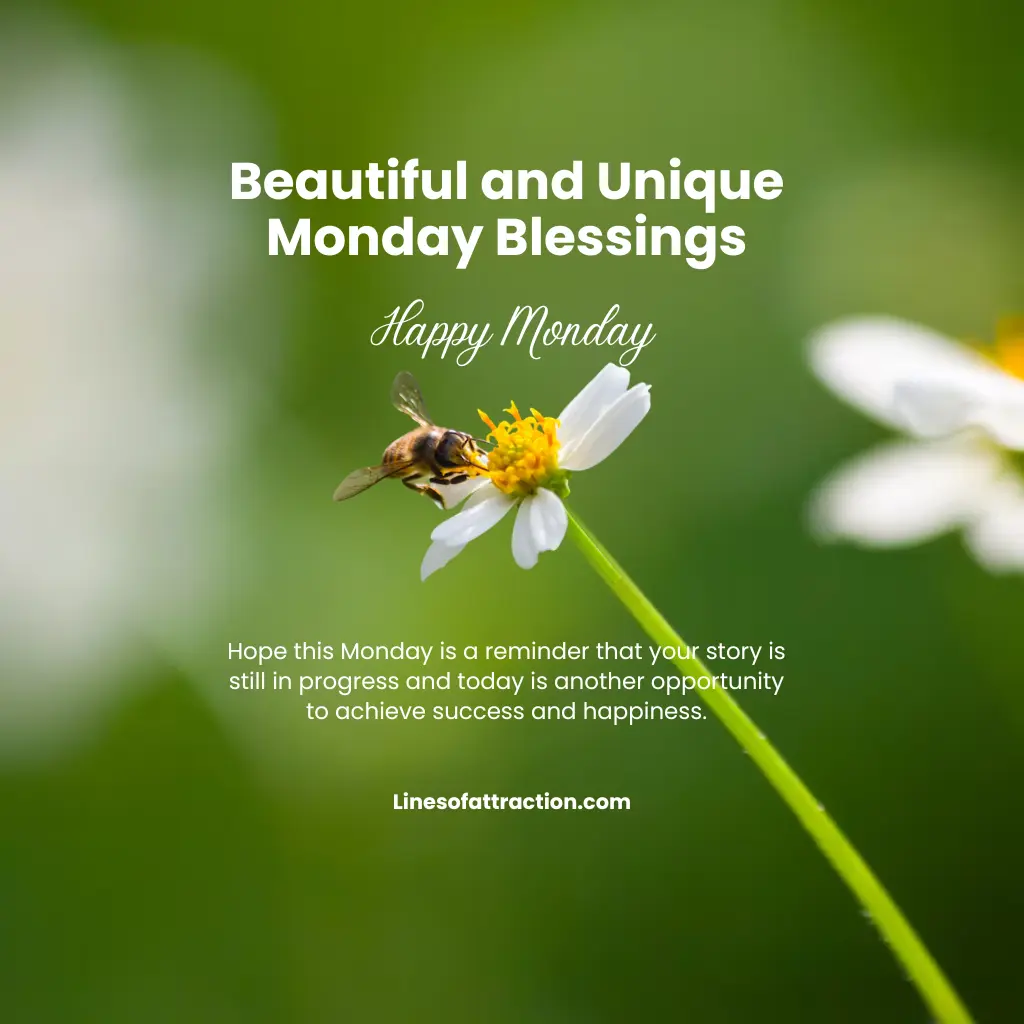 Beautiful and Unique Monday Blessings