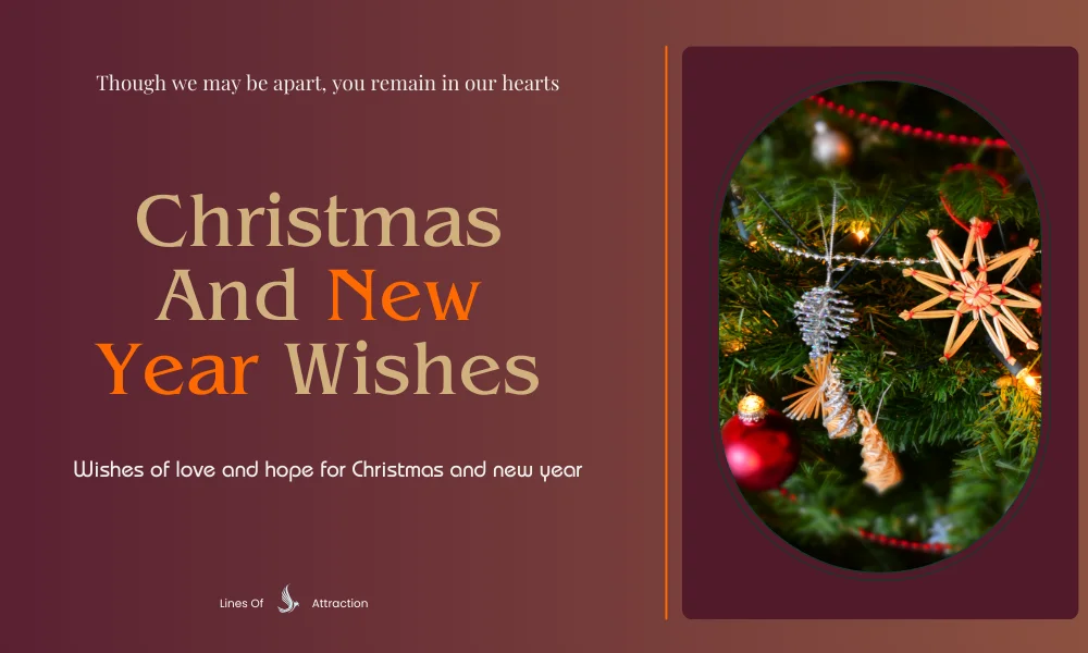 Merry Christmas And New Year Wishes