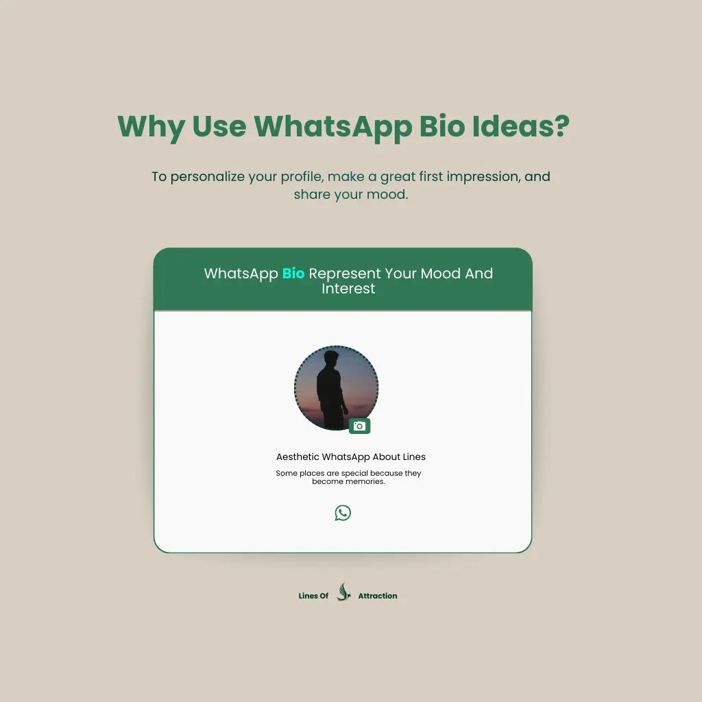 Why Use WhatsApp Bio Ideas?